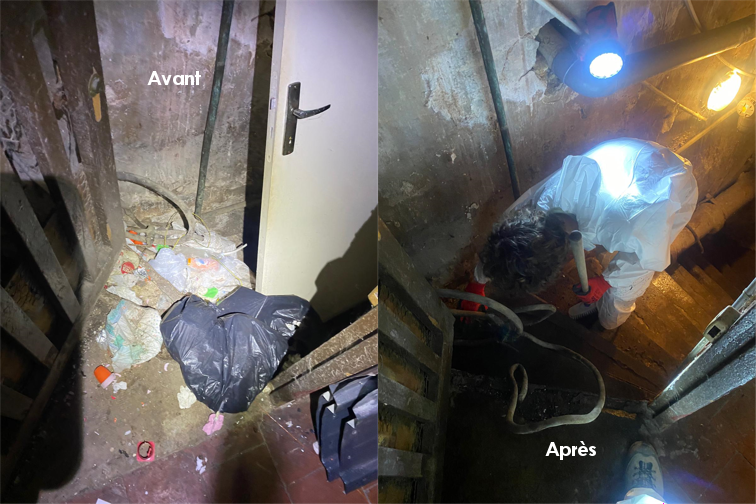 Decontamination d'une cave suite a un squat escalier 1 avant-apres