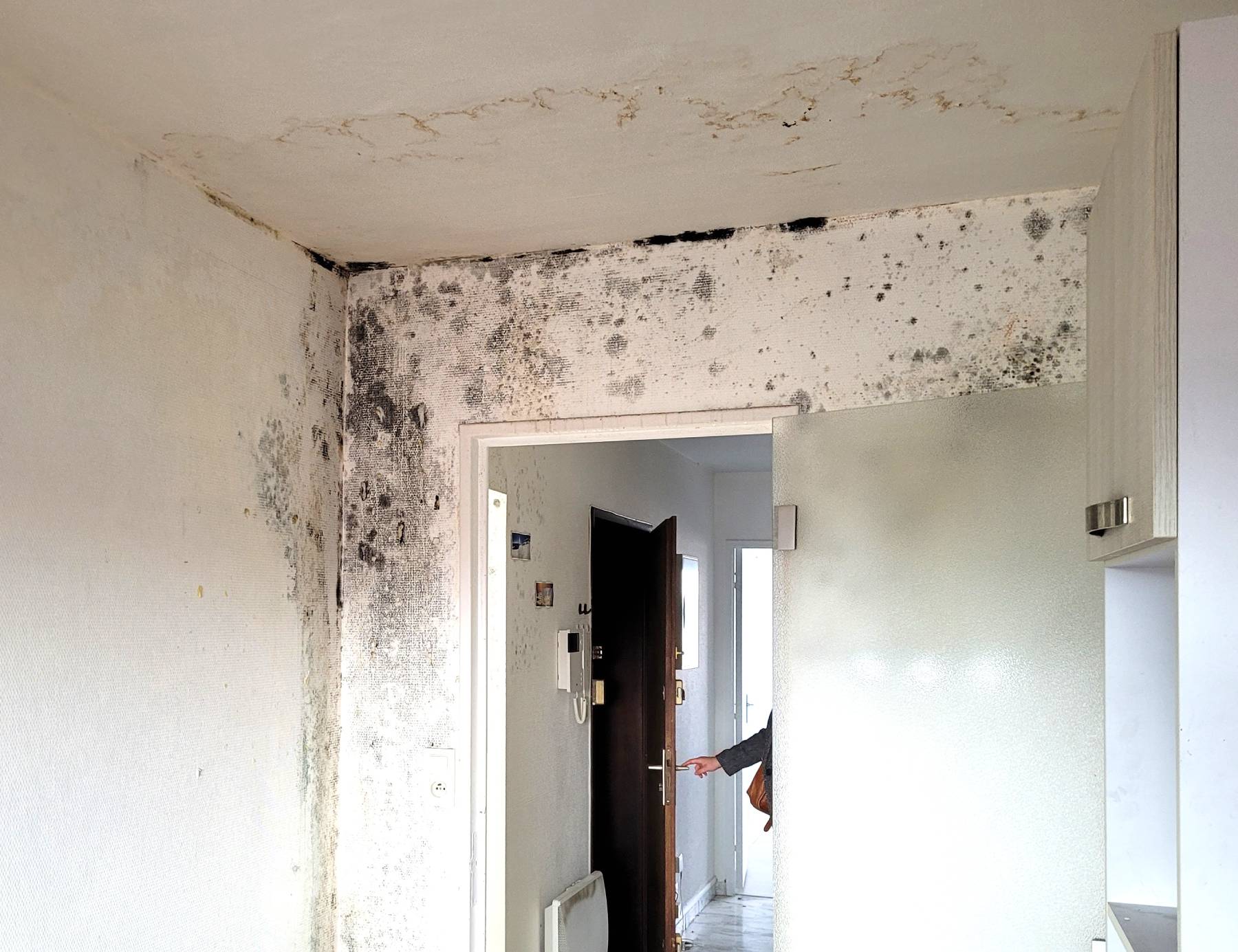 Détection de fuite en immeuble