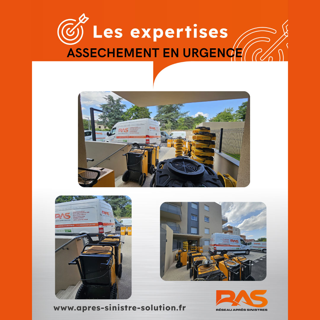 Expertise-assèchement