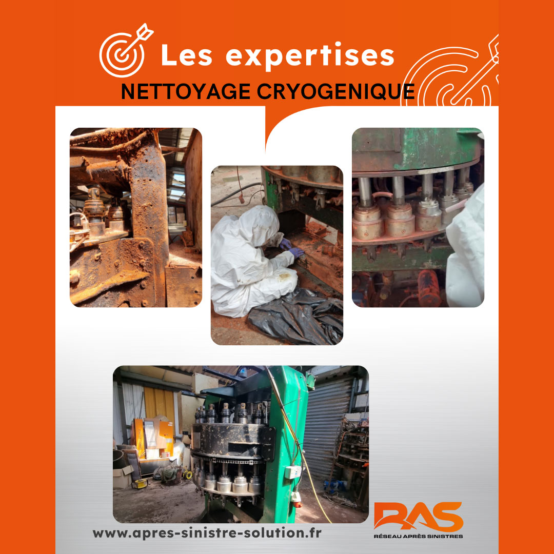 Expertise-cryogénie