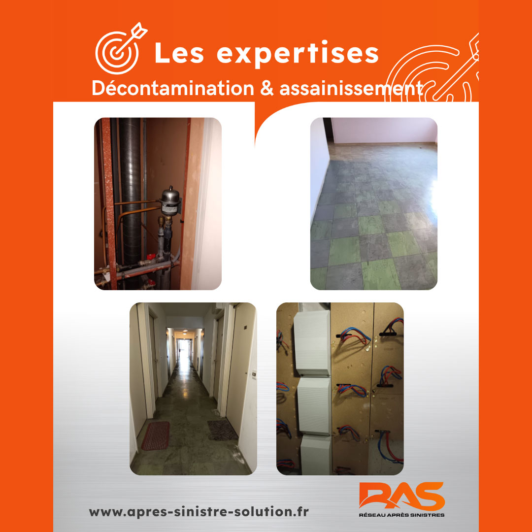 Expertise-déconta-RAS-Marseille-3dplus
