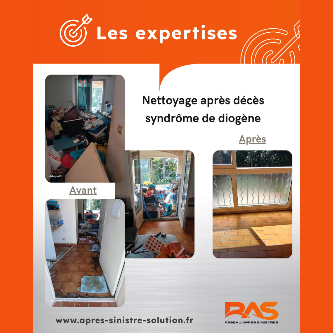 Expertise-diogene-nettoyage-Marseille-3dplus